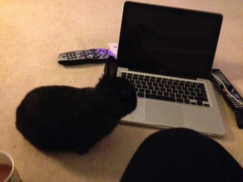 Petro and the Mac