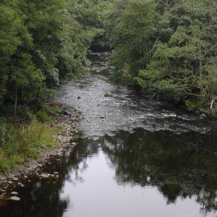 River Ardle