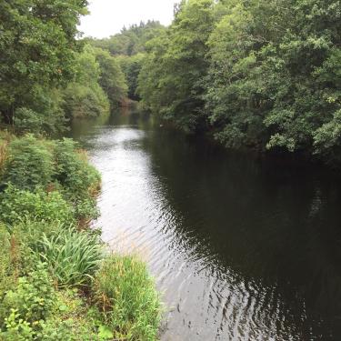 River Earn