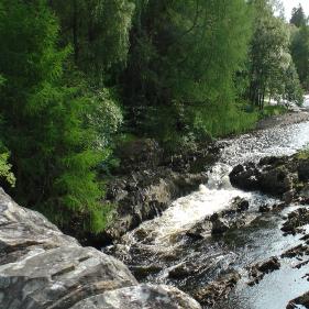 River Lyon