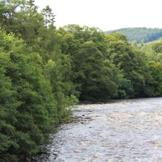 River Tilt
