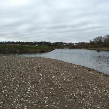 Teviot + Tweed