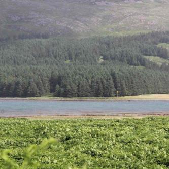 178