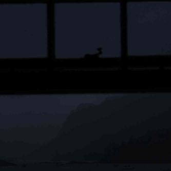 261