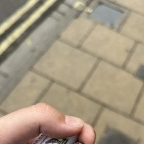 21
