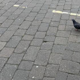 237