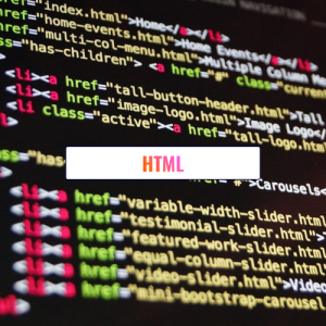 /slides/view/Teaching/3+S3+Computing/7+Web+Development/3+HTML/