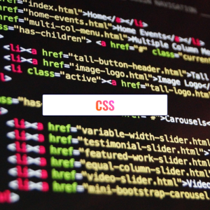 /slides/view/Teaching/3+S3+Computing/7+Web+Development/4+CSS/